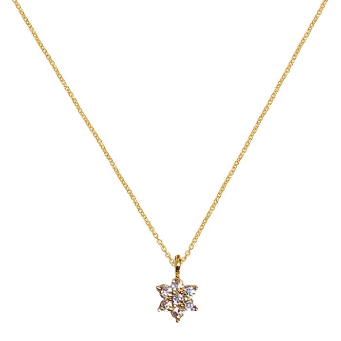 Women necklace with star Yellow Gold 9ct HRY0115
