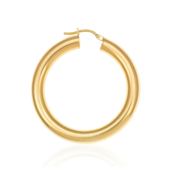 Women's gilded hoop silver earrings WS00606