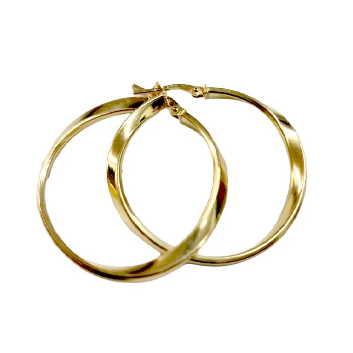 Women's silver hoop earrings WS00708