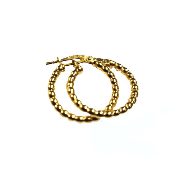 Women's silver hoop earrings WS00712